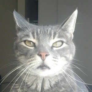 Meet your Posher, Nebbe